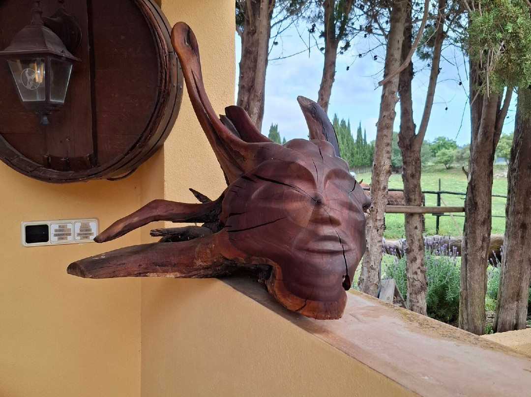 Mad Donkey Mallorca-Pollenca必去景点