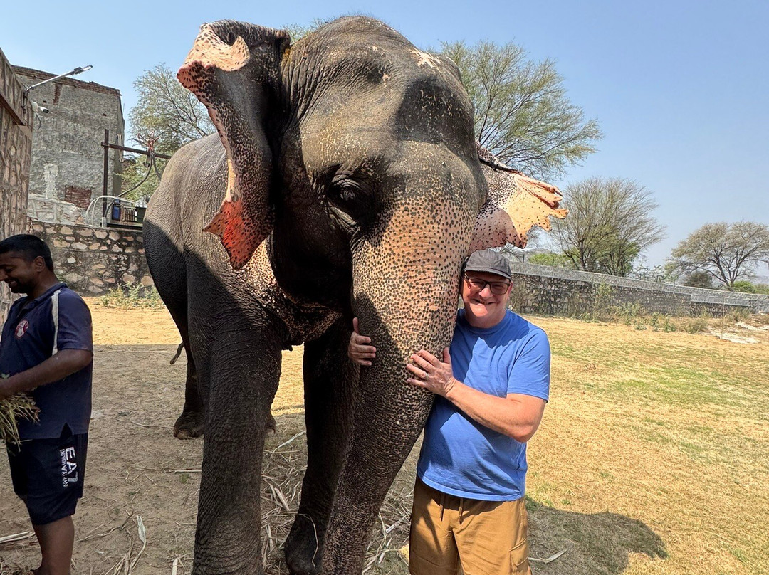 Elefanjoy Elephant Sanctuary-斋蒲尔必去景点