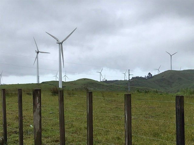 Te Apiti Wind Farm景点图片