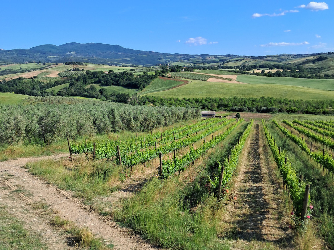 Agriturismo Parmoleto主图