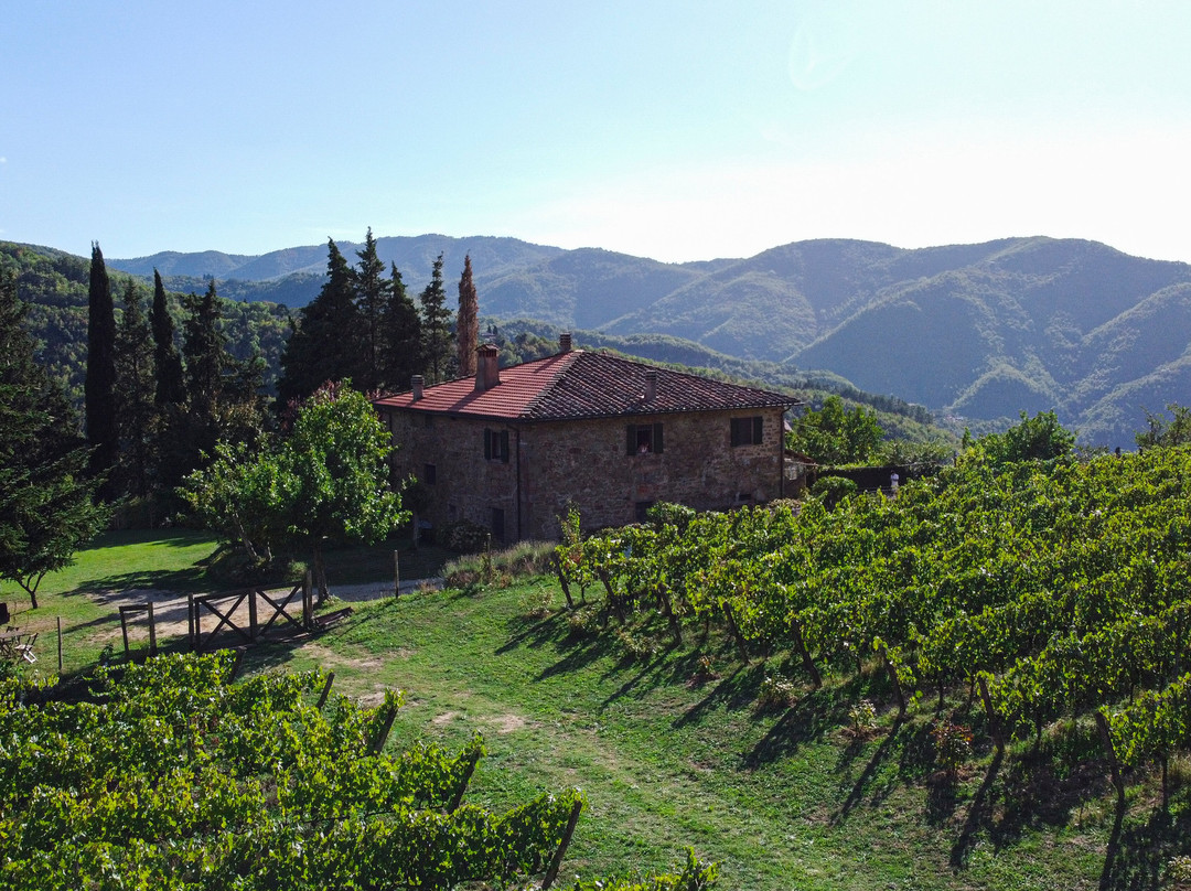 Fattoria San Leolino景点图片