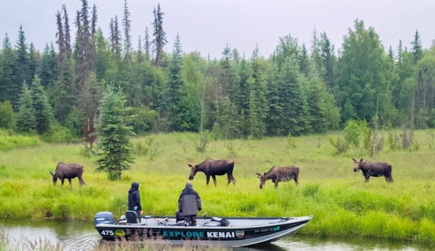 Explore Kenai LLC-索尔多特纳必去景点