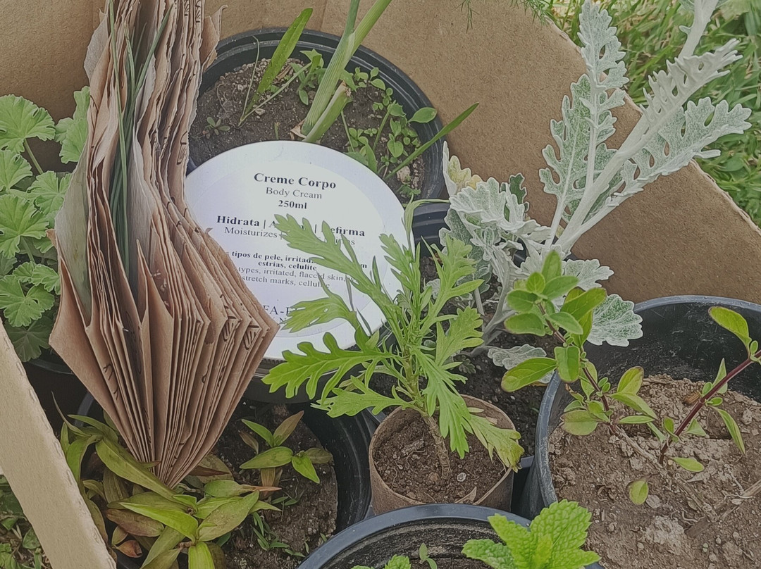 Alfa-flor Casa Y Jardín