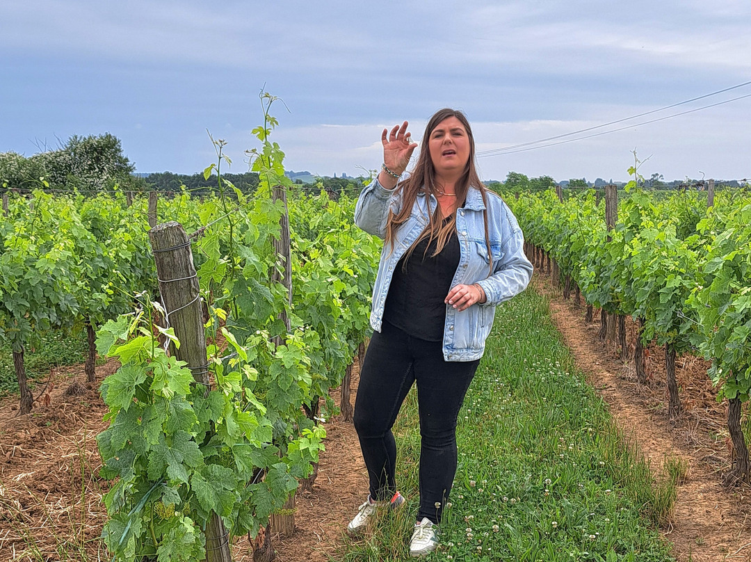 Coup 2 Foudres主图