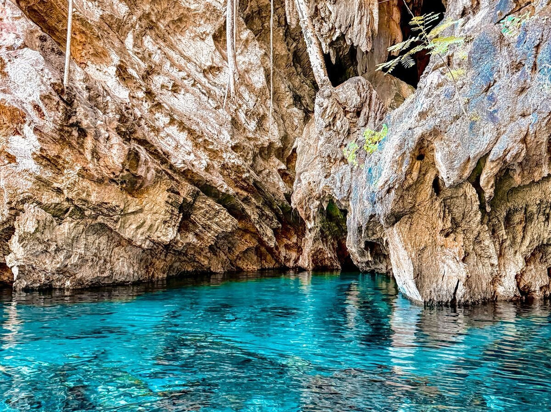 Conexão Cerrado - Turismo e Preservação-Palmas必去景点