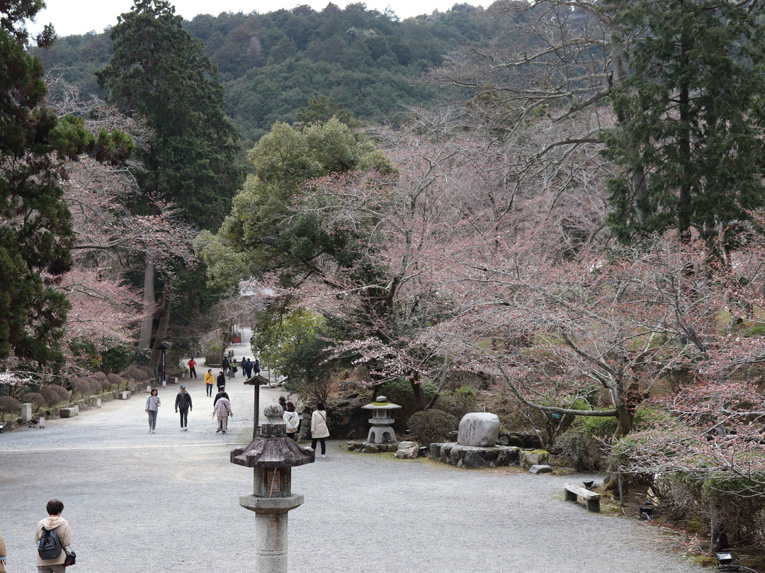 园城寺-大津市必去景点