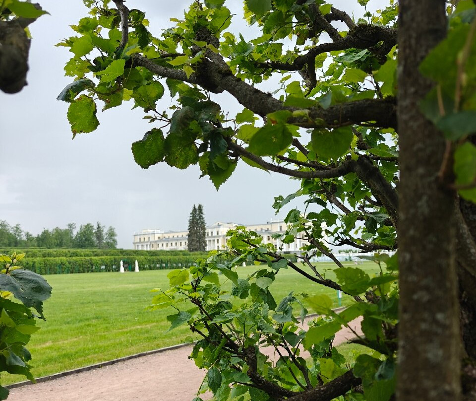 Arkhangelskoye Museum-Reserve景点图片