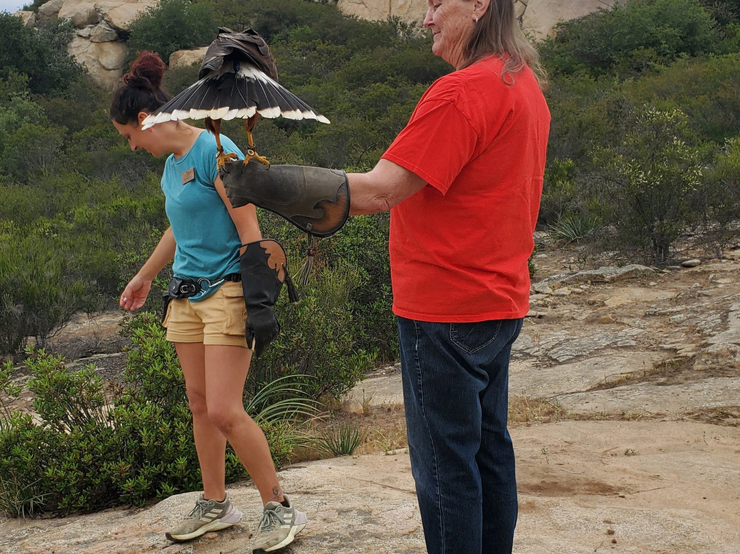 Avian Behavior International景点图片
