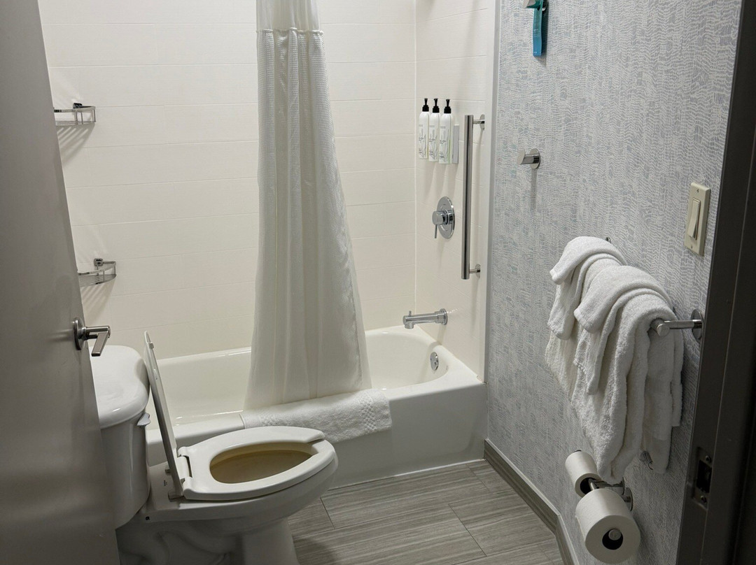 SpringHill Suites Morgantown主图