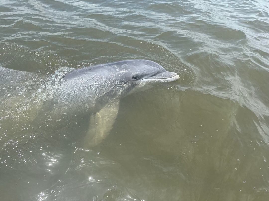 Tall Tide Fishing Adventures-查尔斯顿必去景点