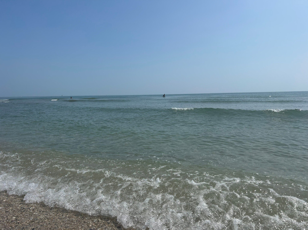 Oscar Spiaggia 298景点图片