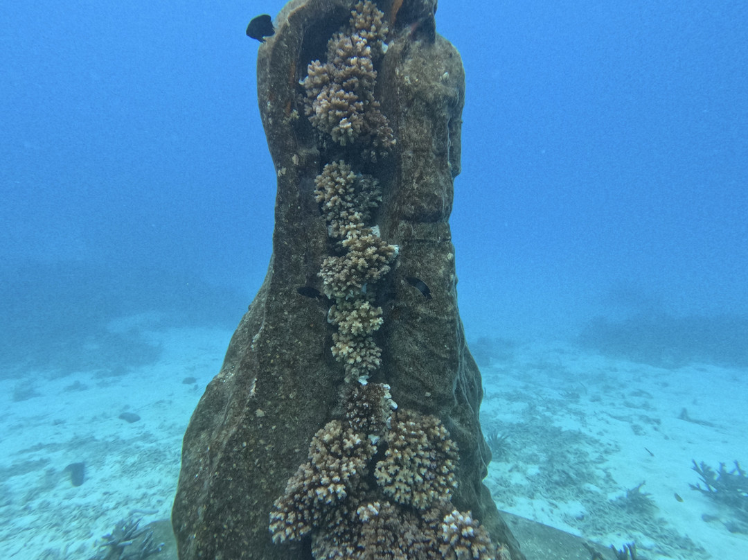 Museum of Underwater Art-North Ward必去景点