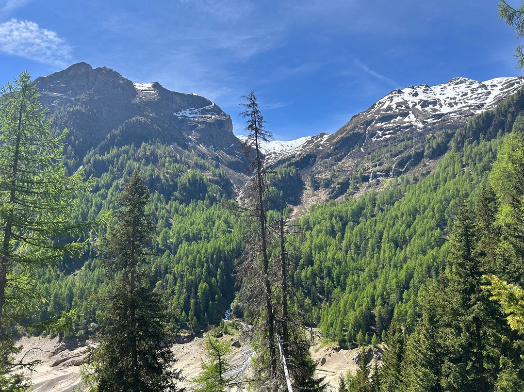 Lago di Pian Palù景点图片