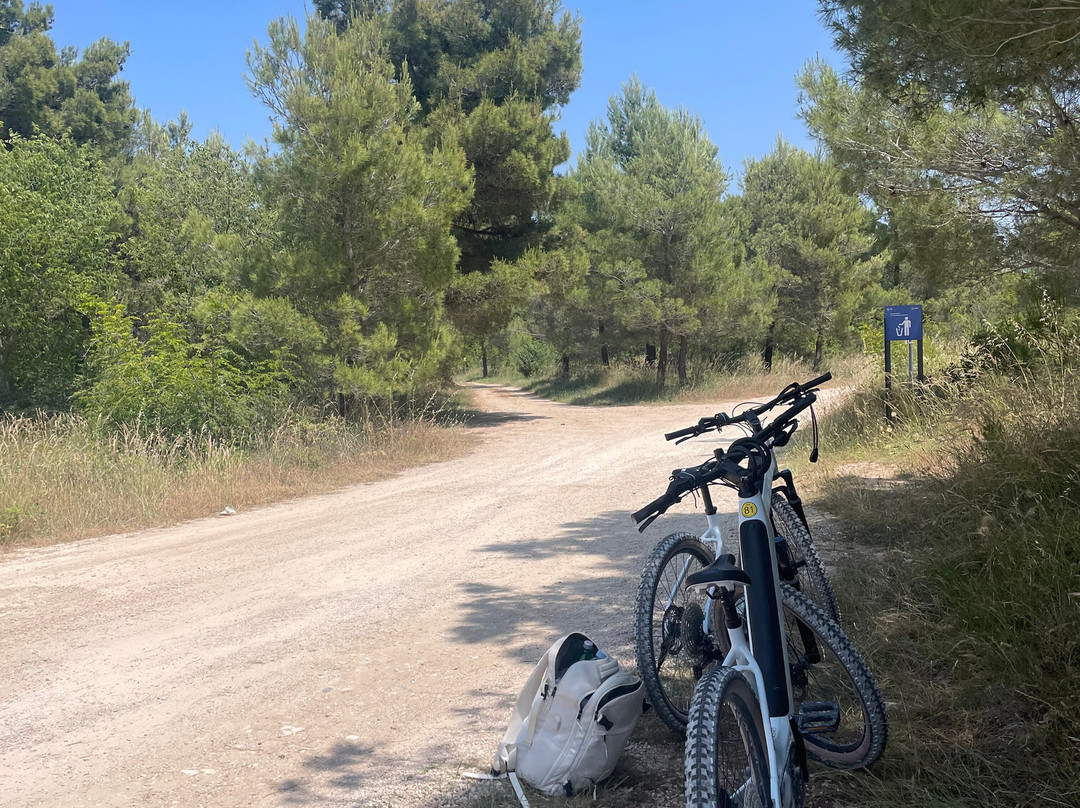 Riki Adventures Ebike Rental And Tours景点图片