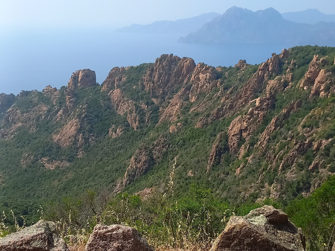Authentic'tour Excursions景点图片