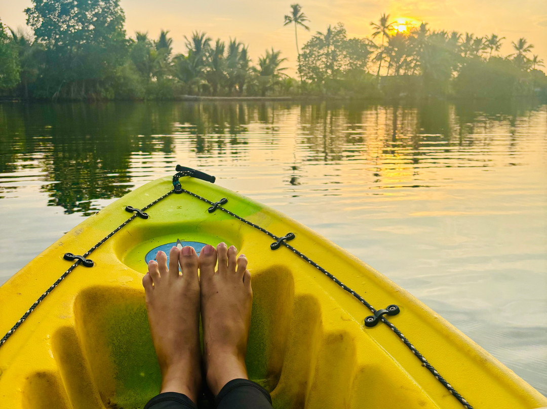 Zebra Kayaks-Munroe Island必去景点