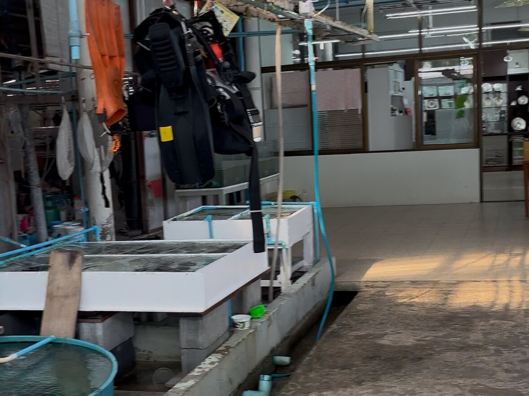 UNG Pearl Farm & Shop-Wichit必去景点