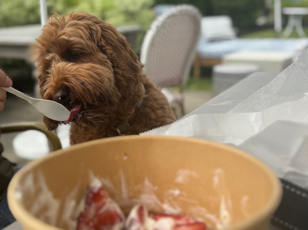 The Hotel Portsmouth主图