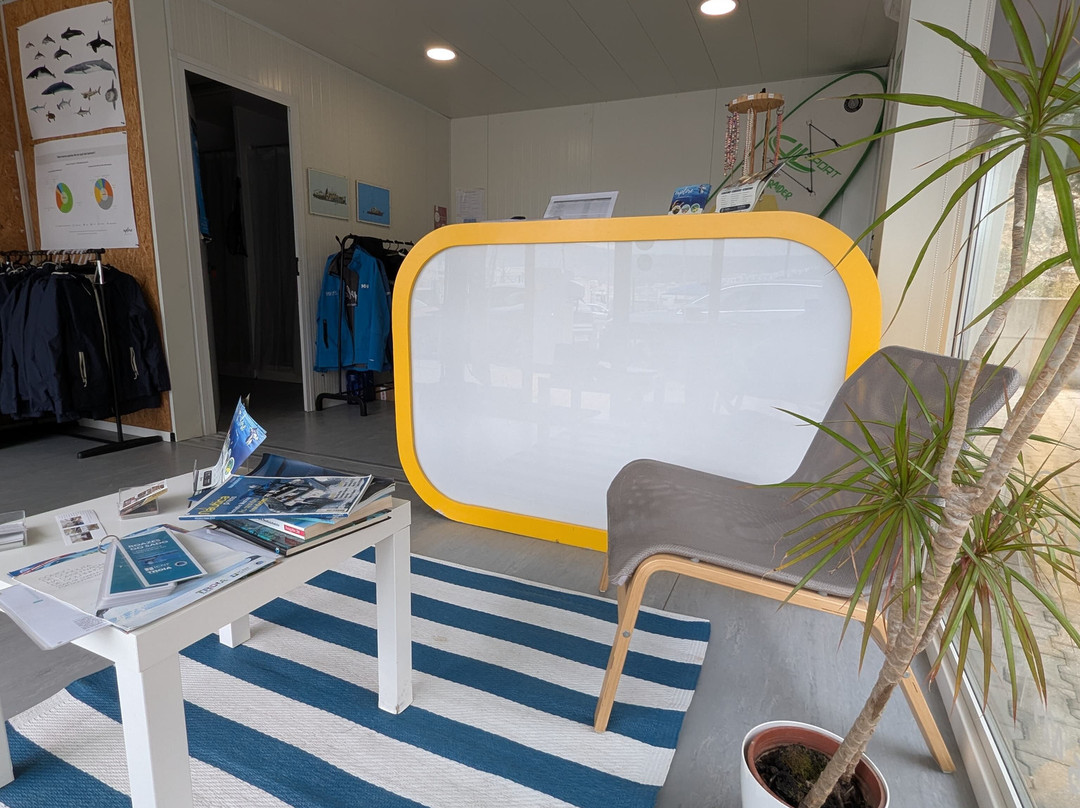 Bolhas Tours-塞新布拉必去景点