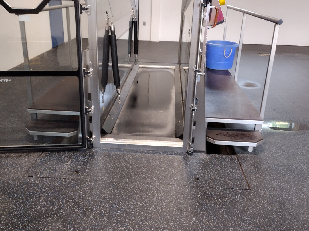 Pin Oak Stud-Versailles必去景点