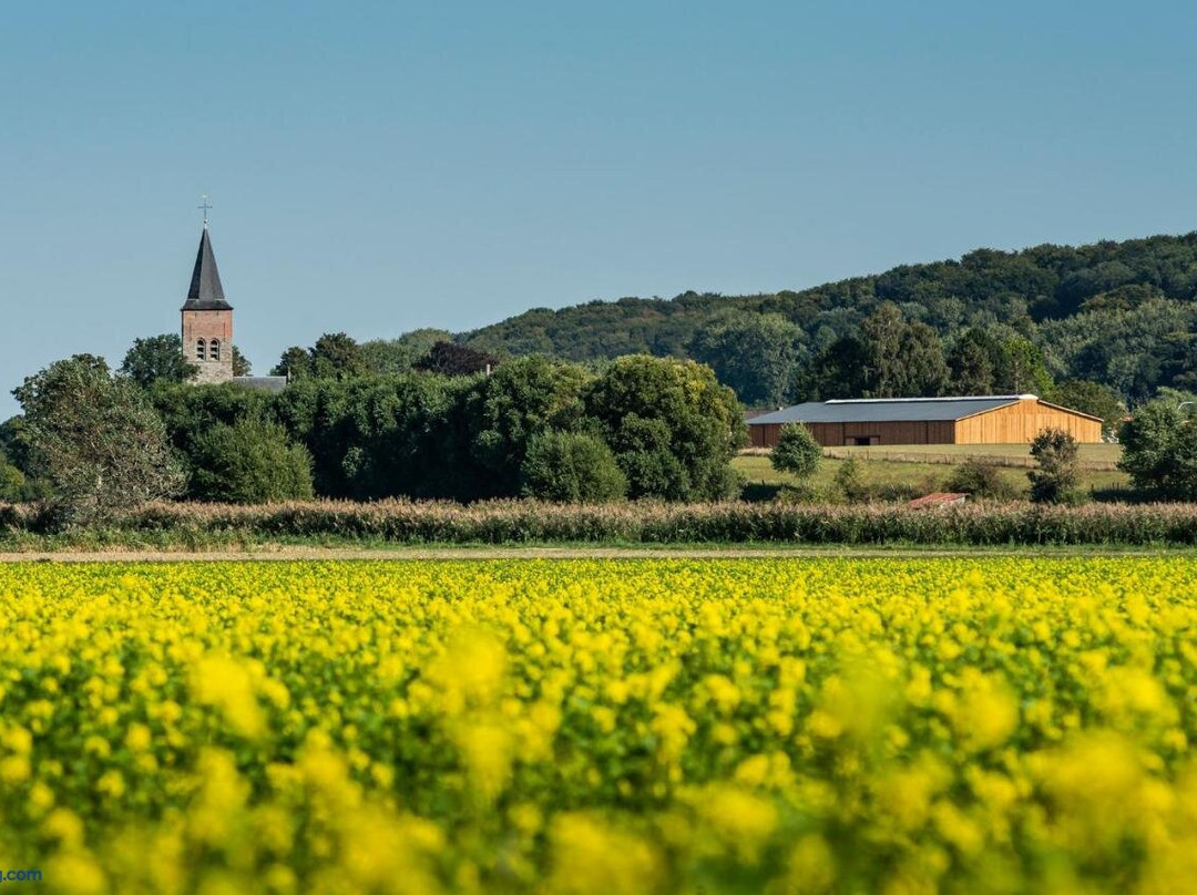 B&B Martinushoeve