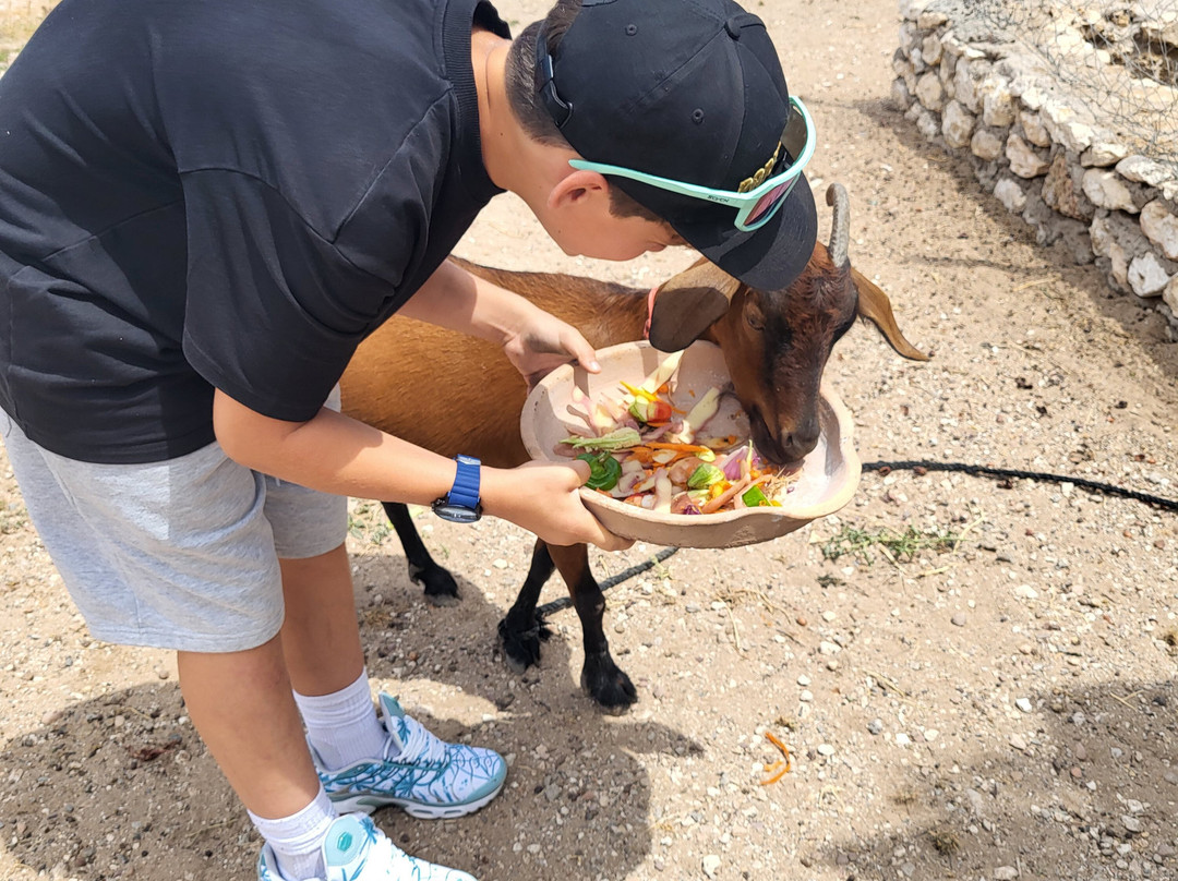 Hafida boutargua-Sidi Kaouki必去景点