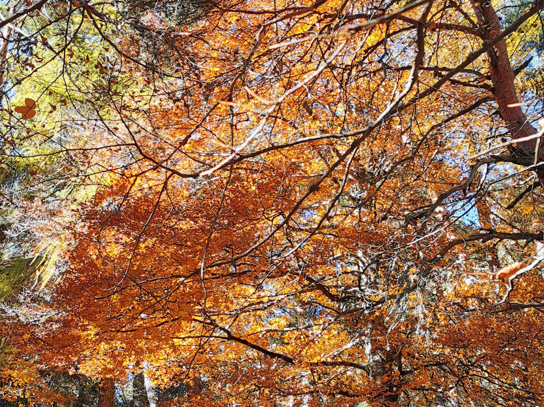 La Cruz De Rubens-埃尔·埃斯科里亚必去景点