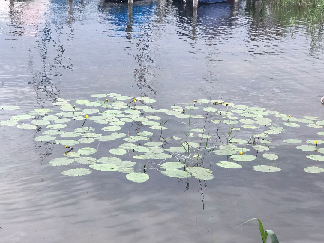 Garden Hotel Reinhart主图