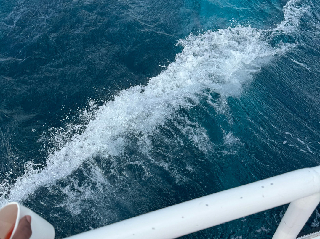 ScubaCaribe - Ocho Rios-奥乔里奥斯必去景点