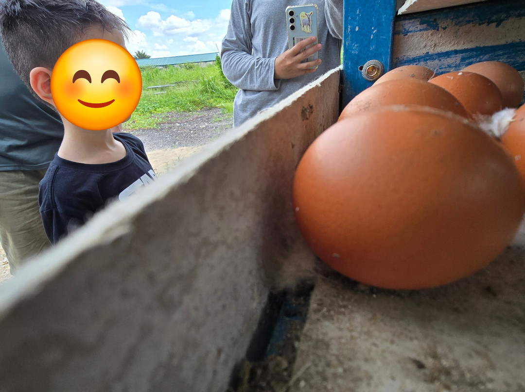 Gentle Farms 温柔农场-Gelang Patah必去景点