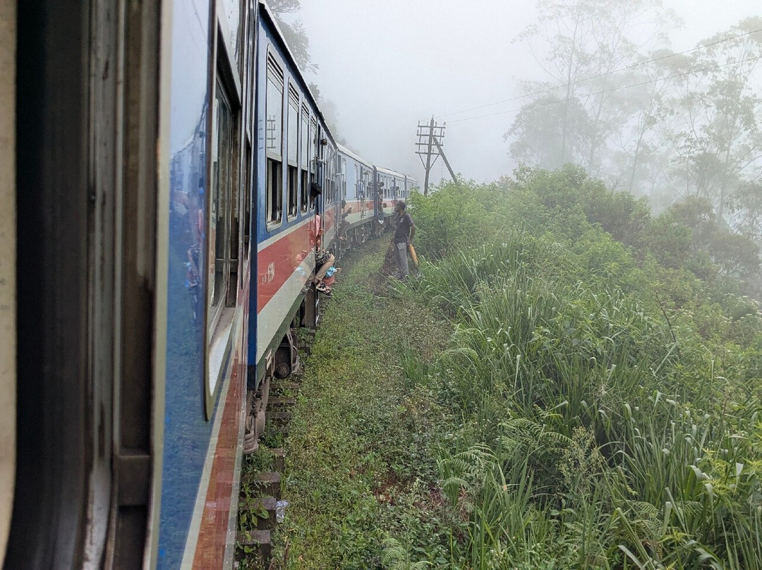 Nanuoya To Ella Train Ride-Nanu Oya必去景点