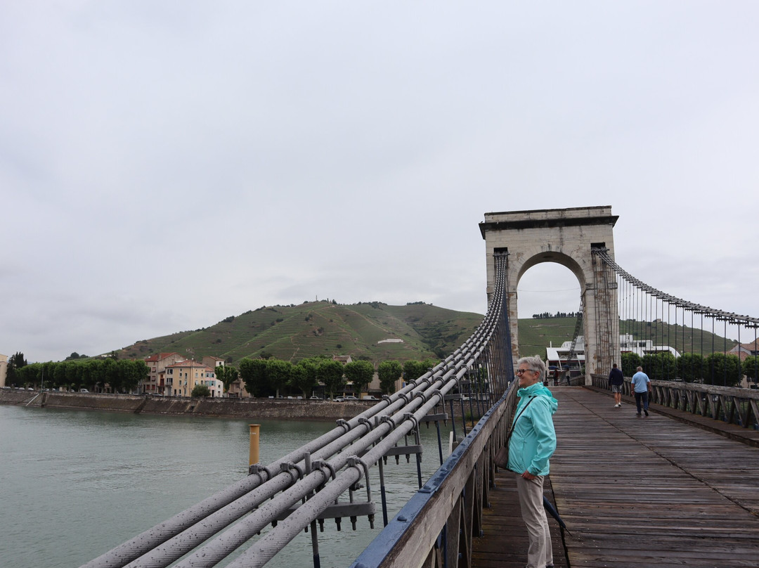 Passerelle Marc Seguin-图尔农必去景点
