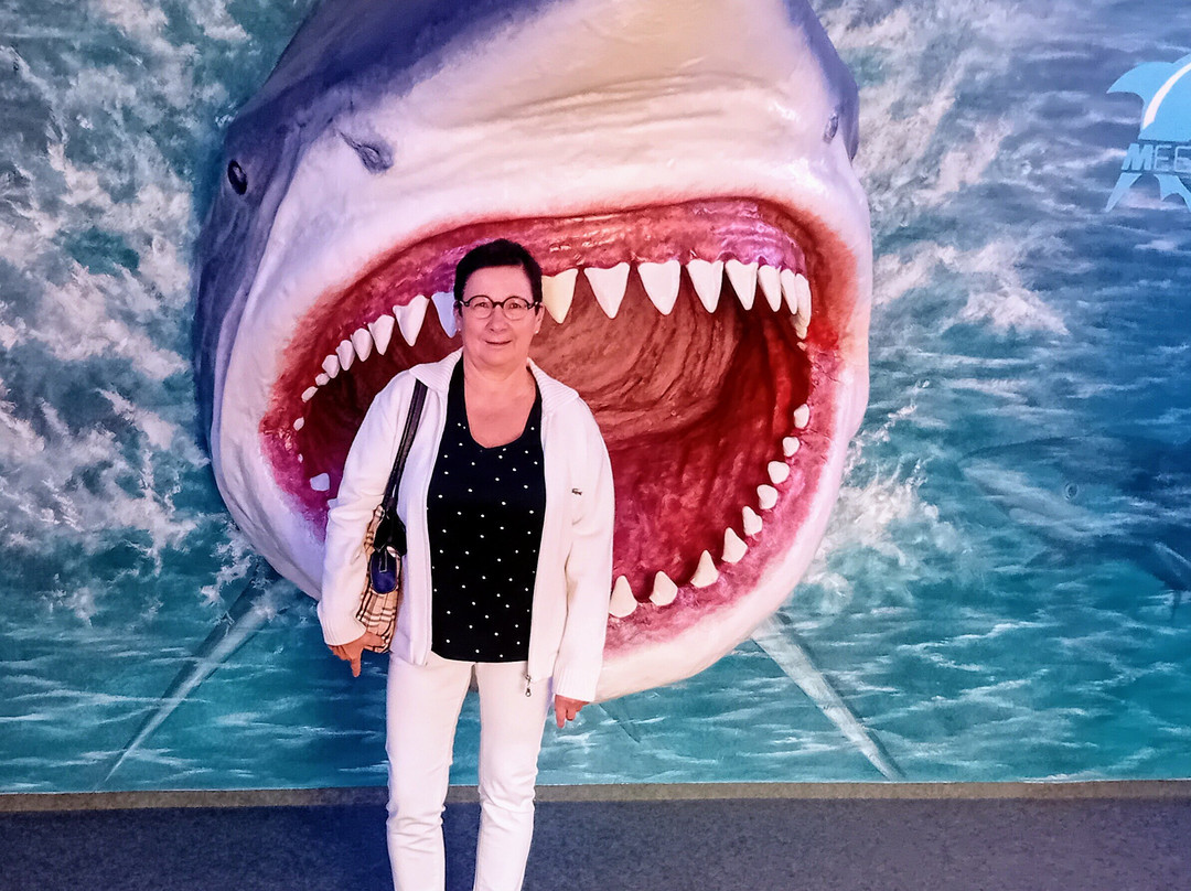 Erlebnispark Meeresaquarium-Zella-Mehlis必去景点
