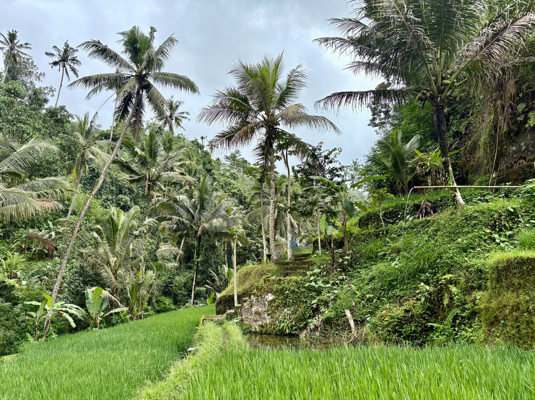 Gembleng Waterfall-席德门必去景点