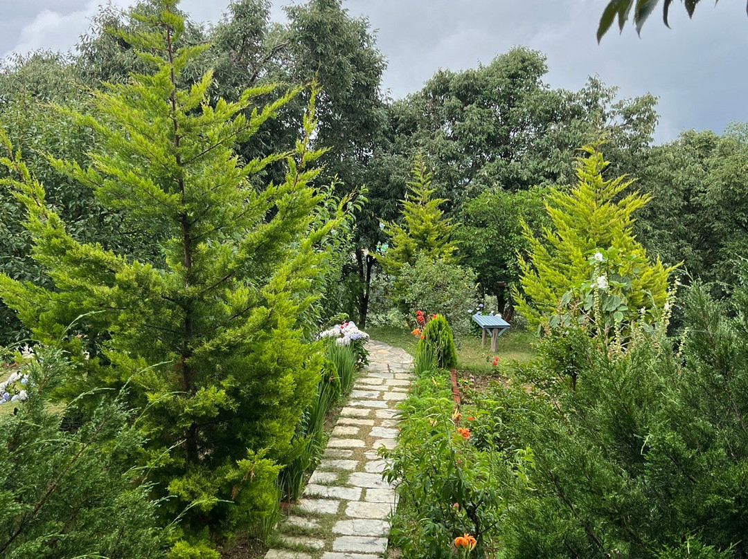 Dharohar Retreat主图