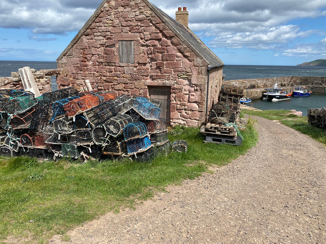 Cove Harbour-Cockburnspath必去景点
