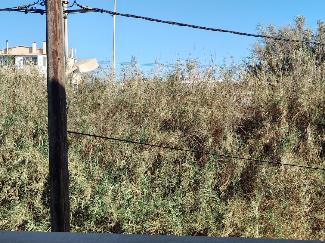 White Olive Elite Rethymno主图