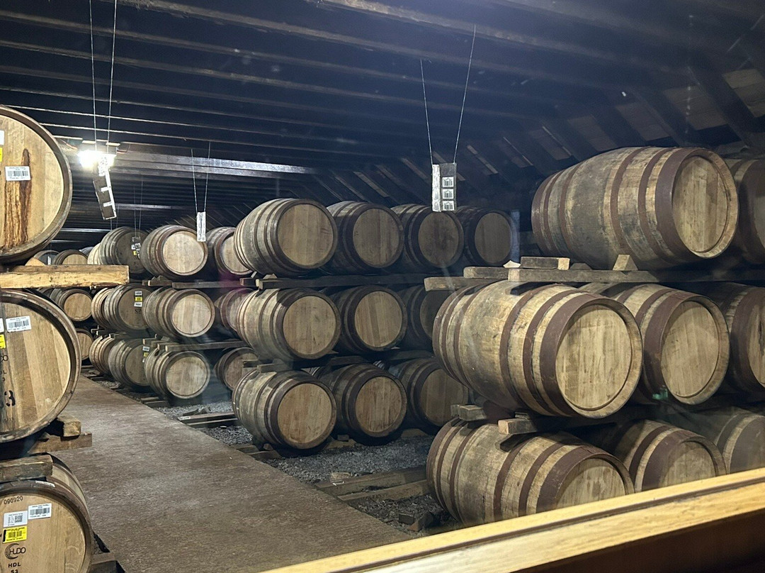 Highland Park Distillery-柯克沃尔必去景点