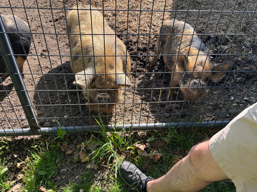 Picture Picture Ranch-Lancaster必去景点