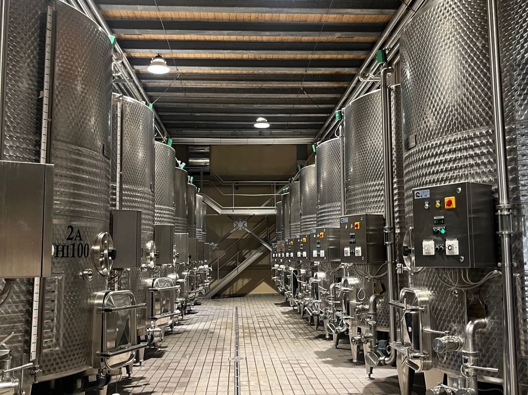 Castiglion del Bosco Winery-蒙塔尔奇诺必去景点