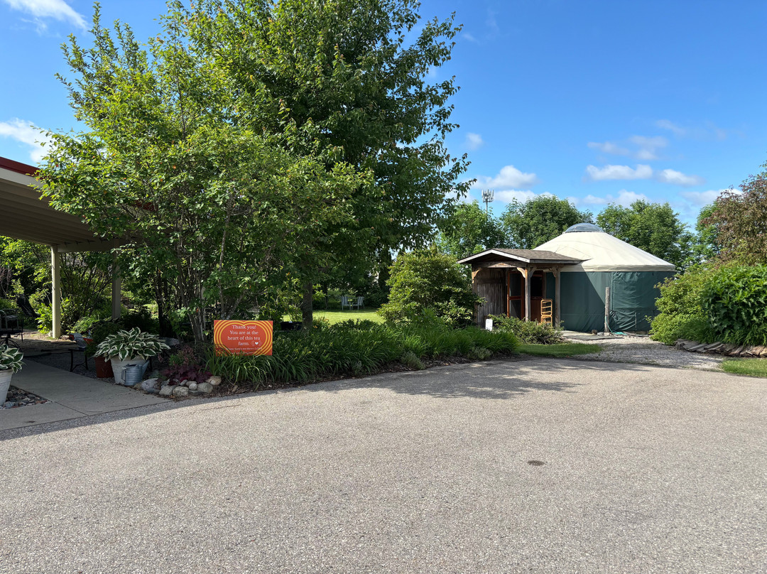 Light of Day Organic Teas-特拉弗斯城必去景点