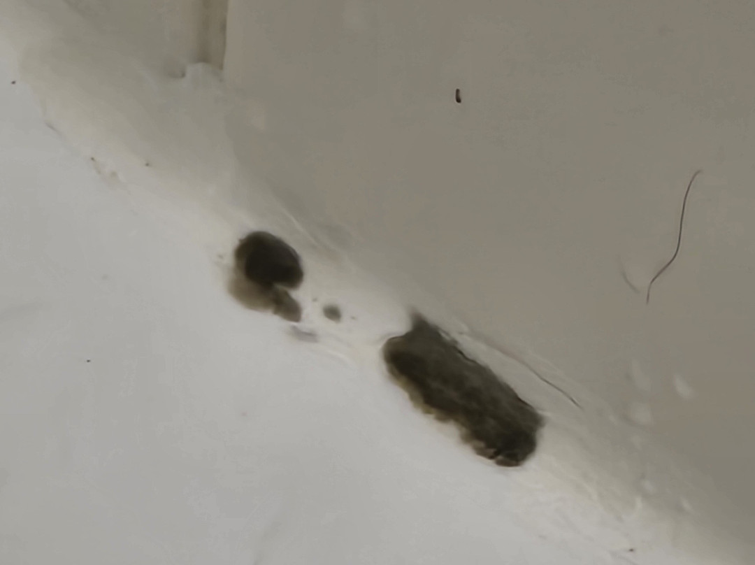 Best Western Braddock Inn主图