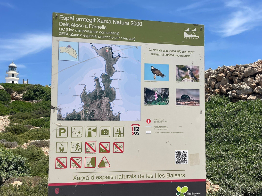Cap de Cavalleria-米诺卡必去景点