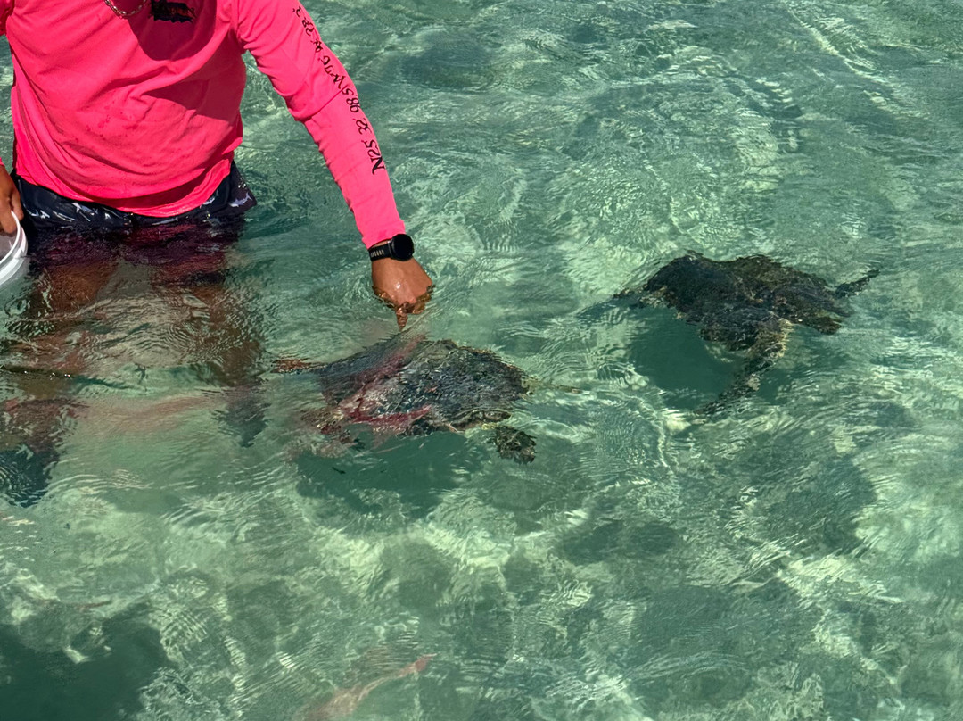 Tyman Fishing Charters-Spanish Wells必去景点