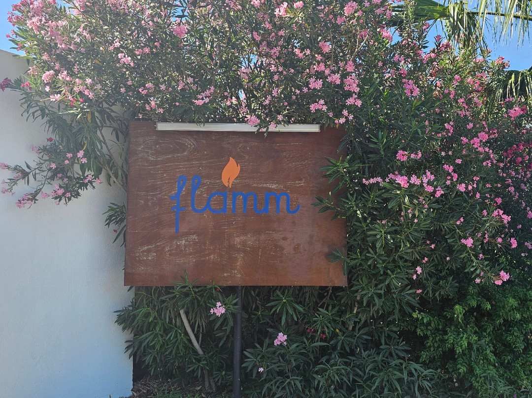 Flamm主图