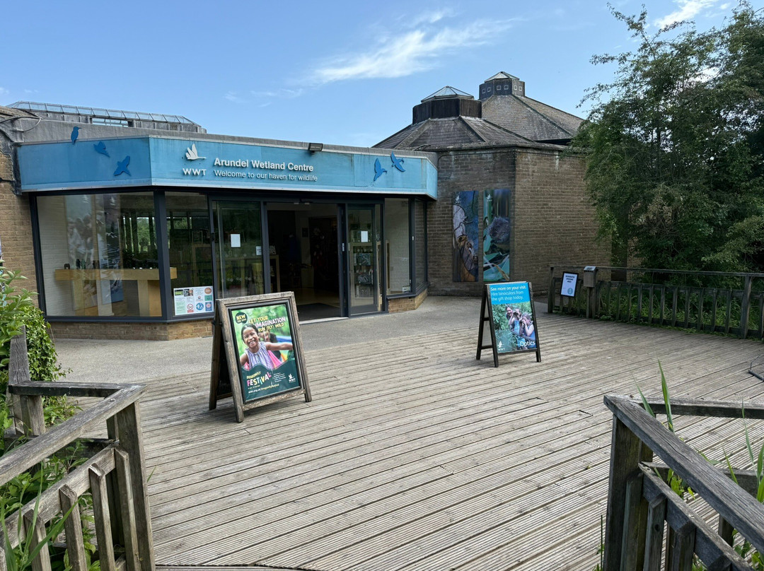 WWT Arundel Wetland Centre-阿伦德尔必去景点