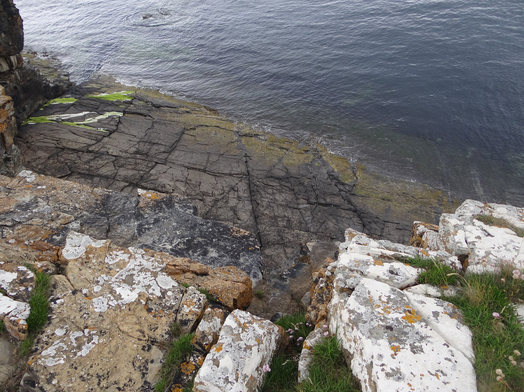 Mull Head Nature Reserve-Deerness必去景点