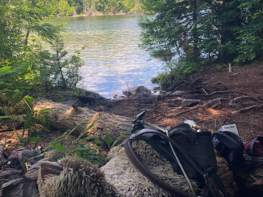South Algonquin Trails-Harcourt必去景点