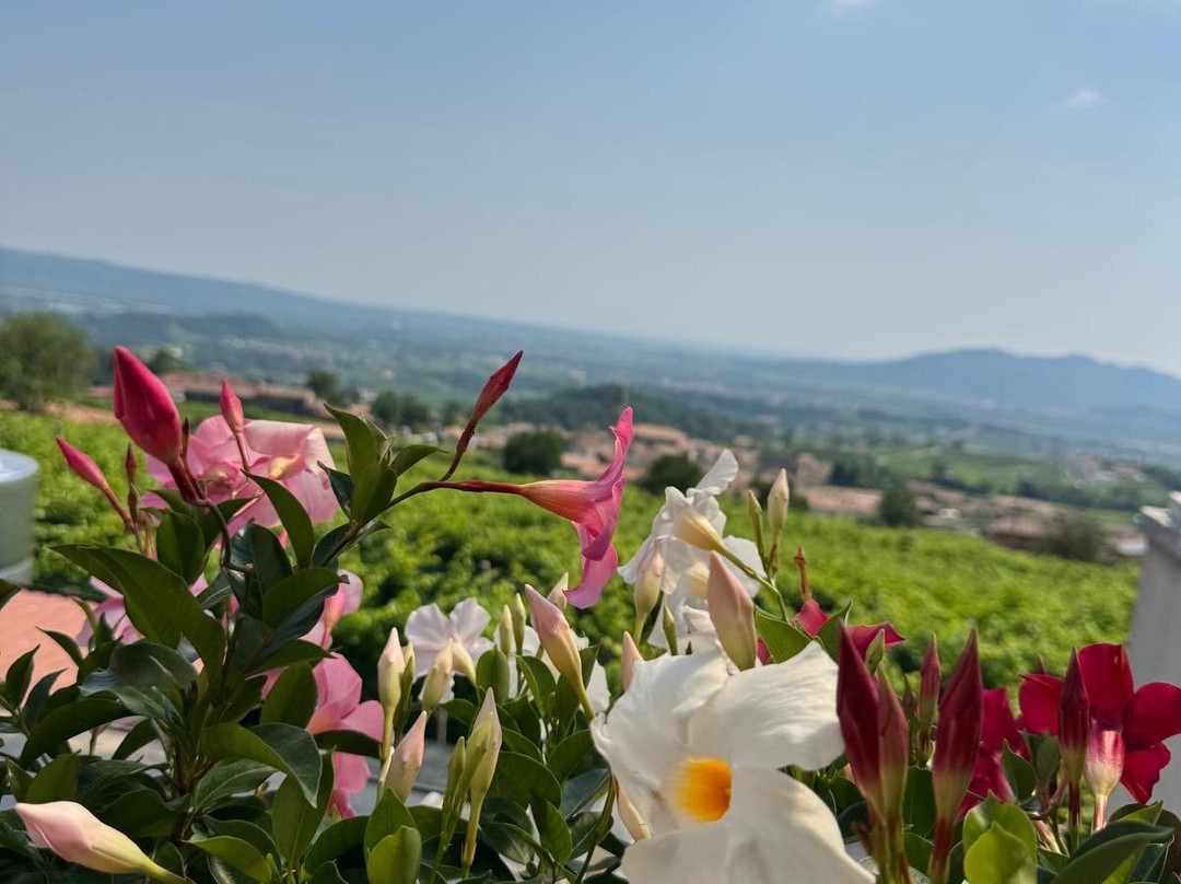 Rive Del Bacio - Cantina E Ospitalità-Valdobbiadene必去景点
