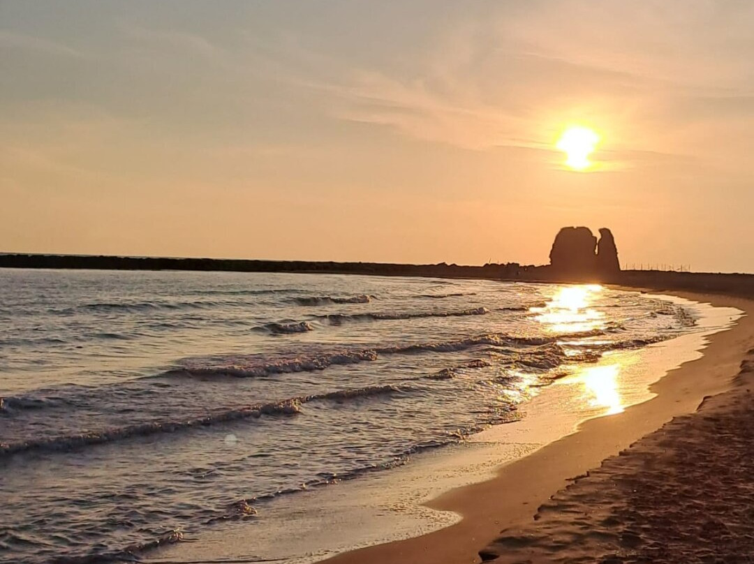 Monumento Naturale Palude di Torre Flavia-拉迪斯波利必去景点